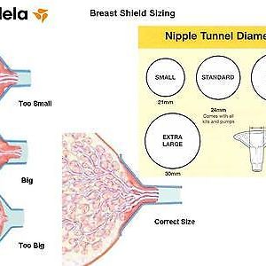 các size chọn phễu Medela