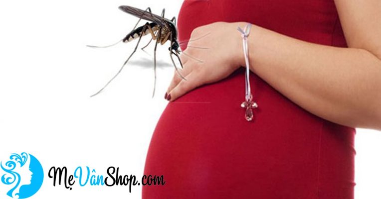 phòng tránh sốt xuất huyết