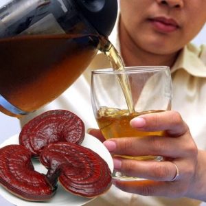 Cách sử dụng nấm lim xanh tự nhiên