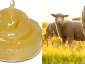 Kem trị nứt đầu ti Medela