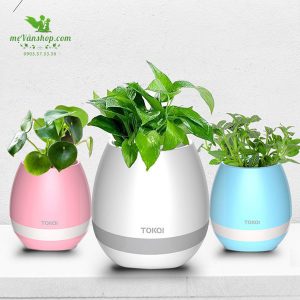 Chậu cây kiêm loa bluetooth phát nhạc đà nẵng