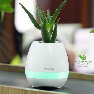 Chậu cây kiêm loa bluetooth phát nhạc đà nẵng