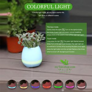 Chậu cây kiêm loa bluetooth phát nhạc