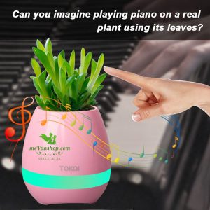 Chậu cây kiêm loa bluetooth phát nhạc đà nẵng