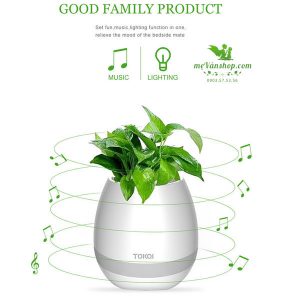 Chậu cây kiêm loa bluetooth phát nhạc